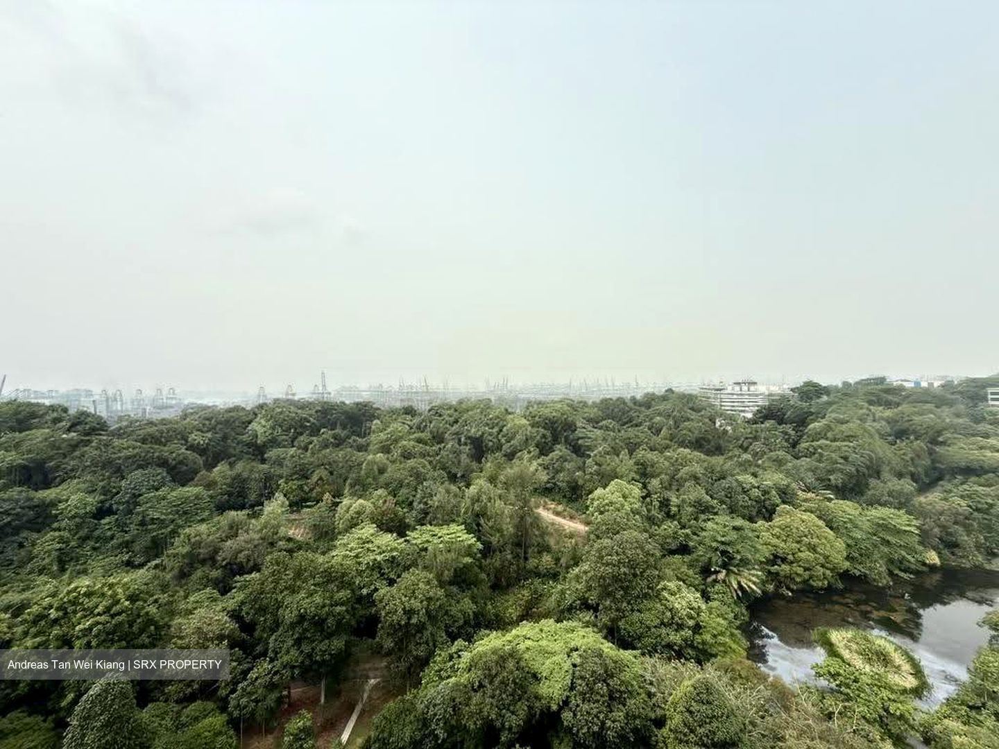 Normanton Park (D5), Apartment #637933721
